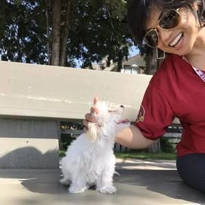 Meet your Posher, Pamie